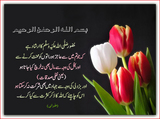 NAAZ