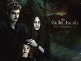 Twilight Saga Breaking Dawn