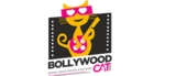 Bollywood cat