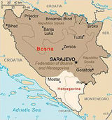 Bosnia (region)