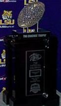 2003 LSU Tigers football team