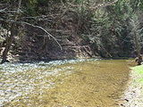evitts creek  north branch potomac river 