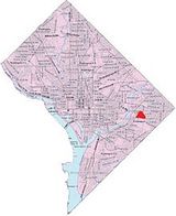 Fort Dupont