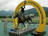 Hong Kong Horse of the Year