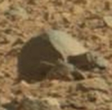 Curiosity Mars Anomalies