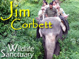 Jim Corbett Weekend Packages from Delhi