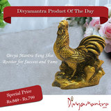 Feng Shui Rooster for Success and Fame