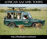 African Safaris Tours