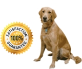 Platinum Training System - Waterproof Dog Shock Collars