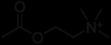 Nicotinic acetylcholine receptor