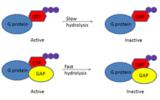 GTPase-activating protein