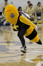 Buzz (mascot)