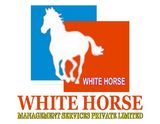 white horse india